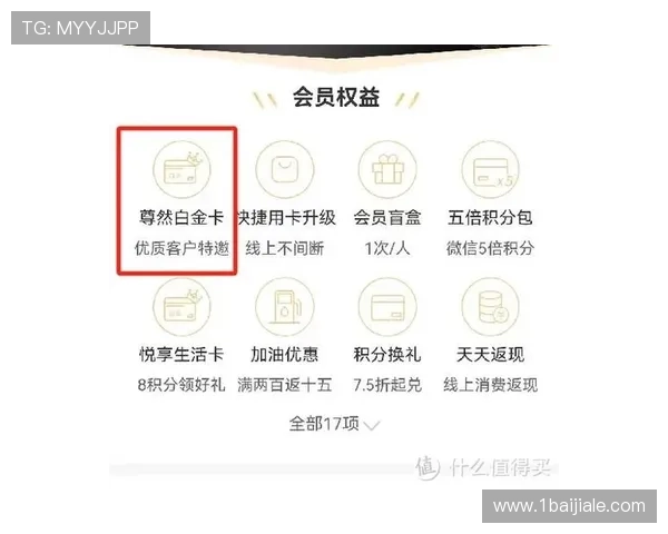 便捷安全的白金会员登录界面设计与优化